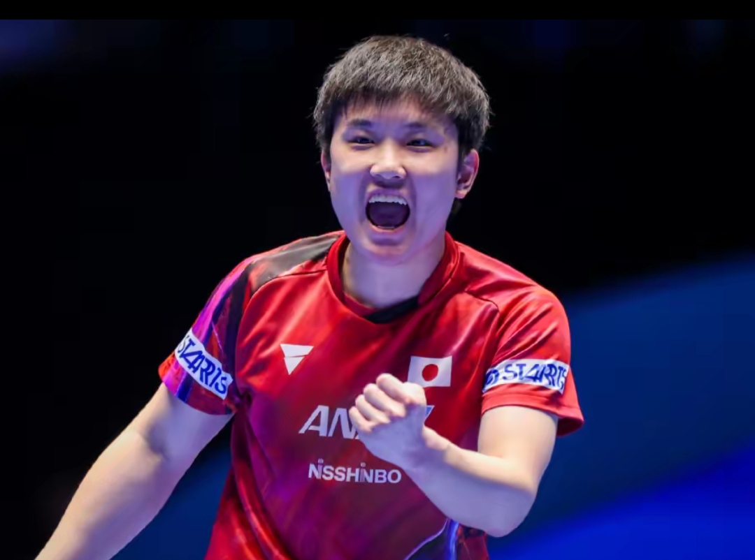 生活经验的 生活经验的