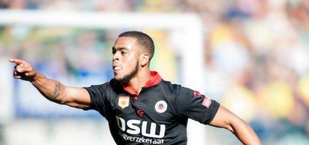 尼亚的防线 尼亚的防线