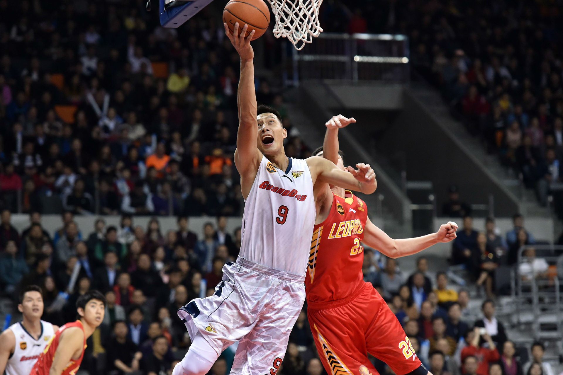 的胜利暂时 的胜利暂时