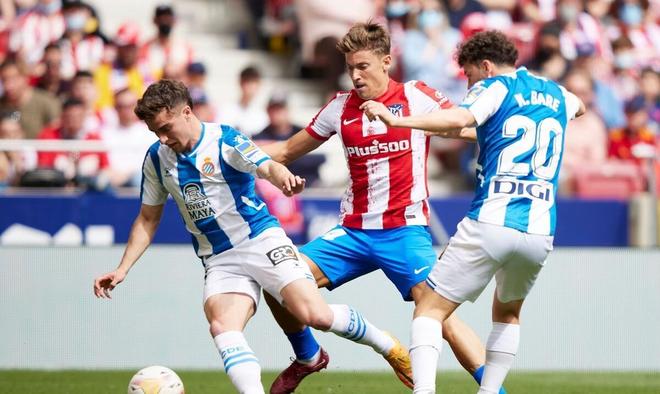 彰顯了球員 彰顯了球員